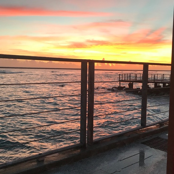 Meet your Posher, Haley - Picture 1 of 1